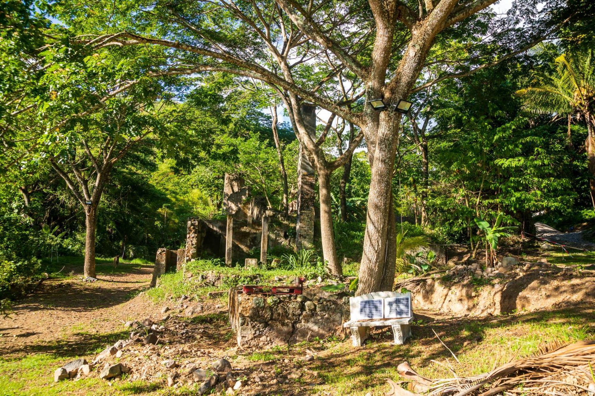 Martinique Treehouse Vila Canton Suisse Exterior foto