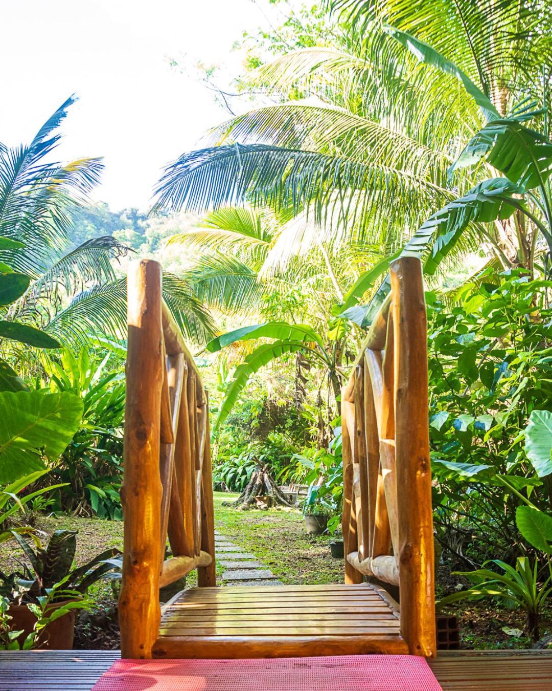 Martinique Treehouse Vila Canton Suisse Exterior foto