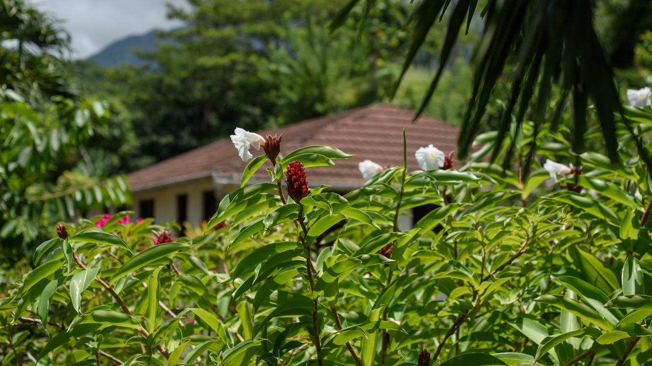 Martinique Treehouse Vila Canton Suisse Exterior foto