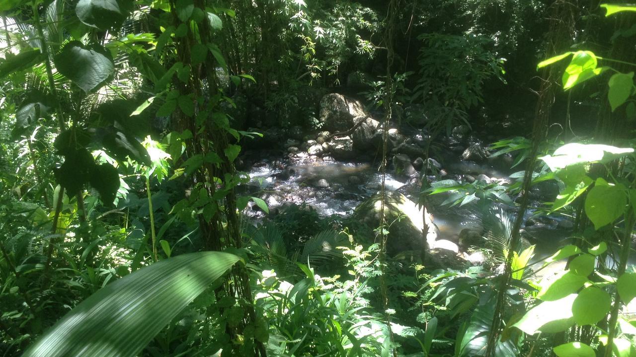 Martinique Treehouse Vila Canton Suisse Exterior foto